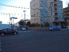 環八