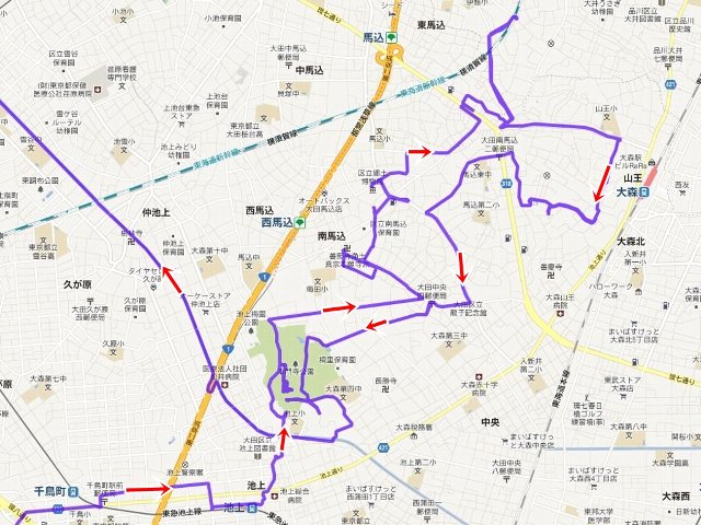 全景