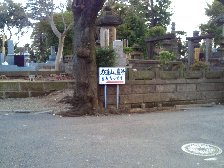 力道山墓所付近