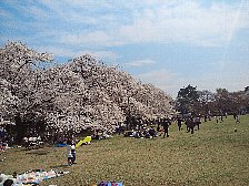 江戸東京たてもの園前