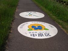 新しい表示