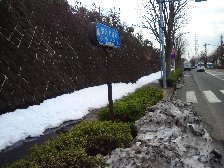 残雪