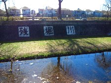 字が大きい