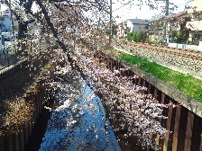 西武新宿線