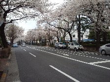 福祉センター前交差点
