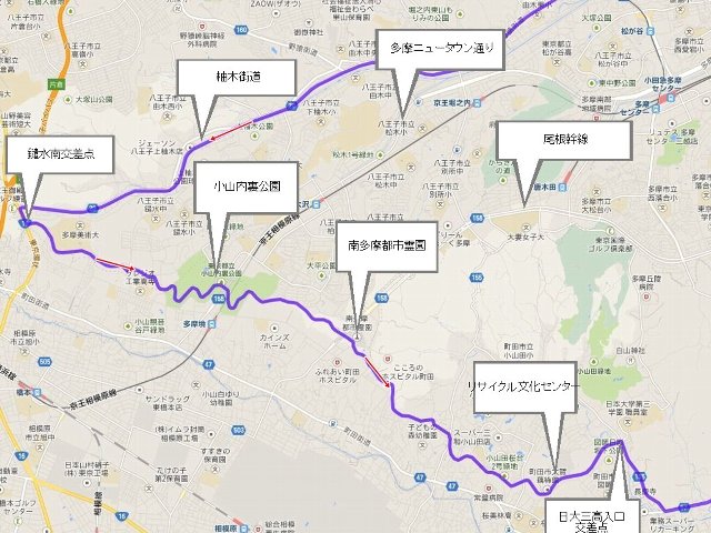 全景