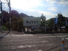 マーケット