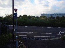 尾根幹