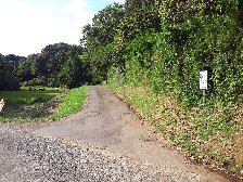 三輪町方面への道