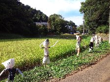 案山子