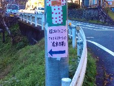成木の家？