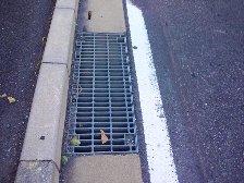 排水溝