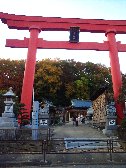 琴平神社