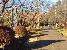 大泉寺参道