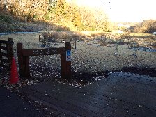 野津田公園ばら広場