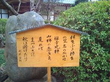 白秋