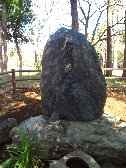 徳富蘆花夫妻の墓