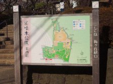 羽根木公園