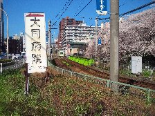 高戸橋付近