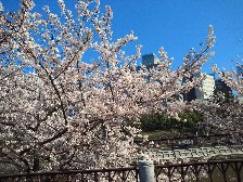 アルカディア市ヶ谷　私学会館