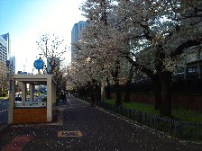 外務省そば
