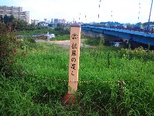 根岸の渡し