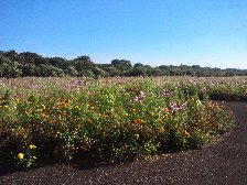 安比奈親水公園