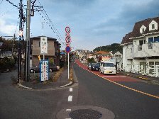 並木