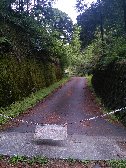 高土戸入林道