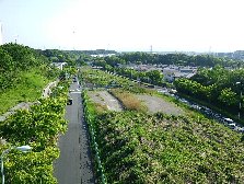 橋からのながめ