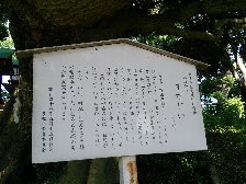 すだじい
