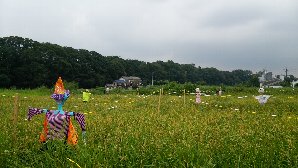 2016年版