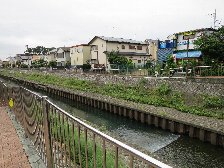 善福寺川