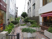 桃園緑道