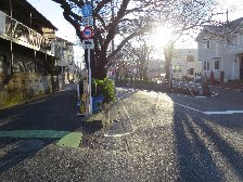 桜坂