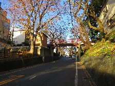 桜坂