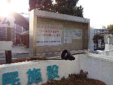 休館中