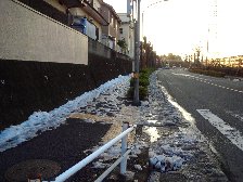 10日前の雪
