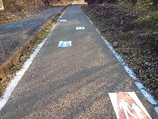自転車、歩行者