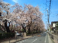 武蔵野市水道部付近