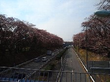 東八道路