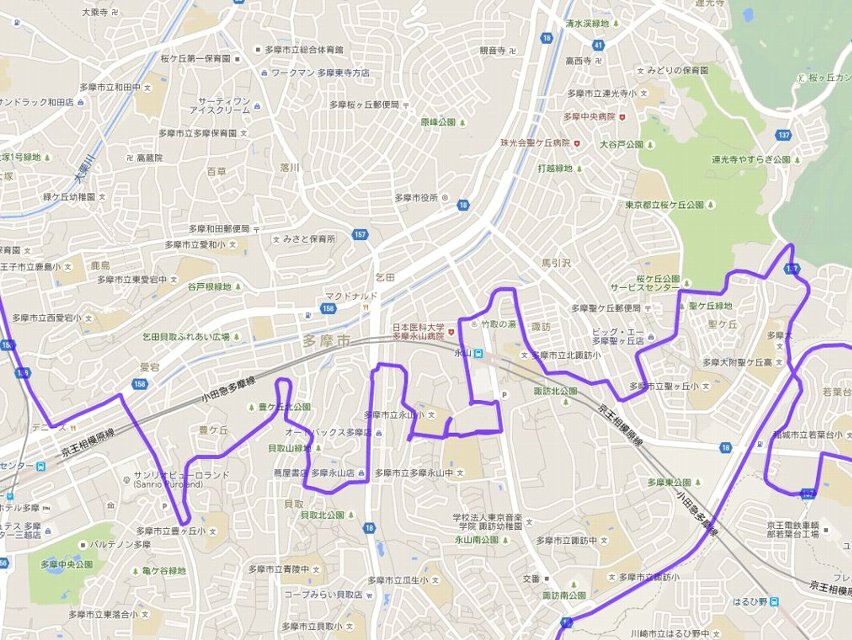  裏尾根幹10kmコース