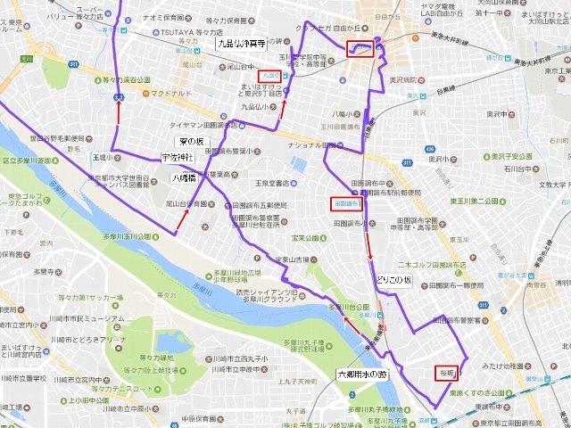 全景