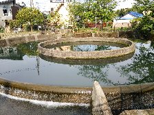 円筒分水