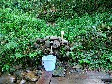 さすがに飲まない