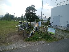 活用されてない