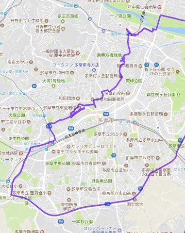全景