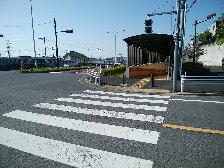 いつもの道