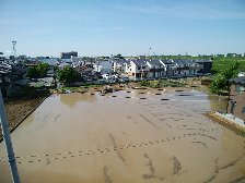 田植え準備