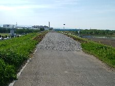 先は砂利道